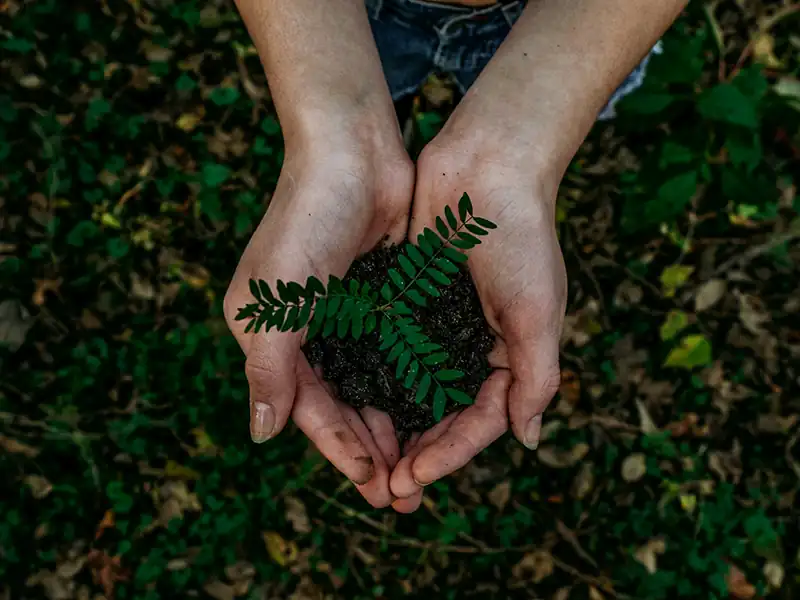 Écologie impression à la demande