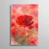 Tableau aquarelle coquelicot rouge sur fond pastel rose et mauve, peinture florale romantique