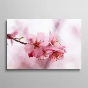 tableau branche de cerisier en fleurs Tableau branche de cerisier en fleurs roses sakura sur fond pastel, style japonais printanier