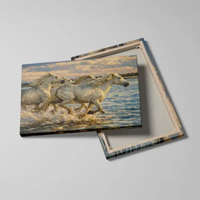 Tableau camarguais
