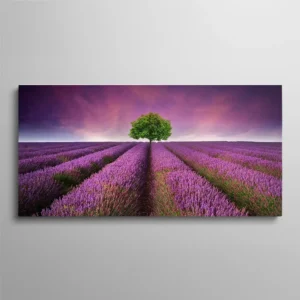 Tableau champ de lavande violet en Provence avec arbre solitaire sous ciel crépusculaire, paysage provençal