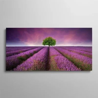 tableau champ de lavande Tableau champ de lavande violet en Provence avec arbre solitaire sous ciel crépusculaire, paysage provençal