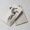 Tableau cheval blanc