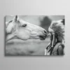 Tableau femme et cheval noir et blanc portrait amérindien avec coiffe de plumes, style western bohème