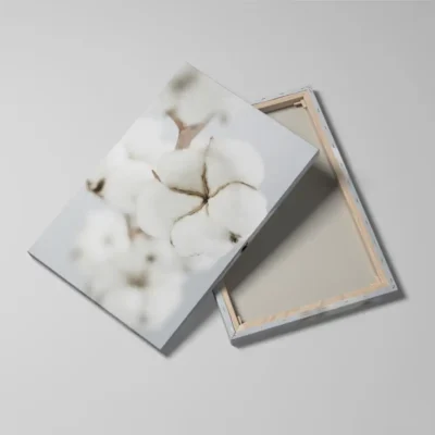 tableau fleur de coton detail toile tendue Tableau fleur de coton