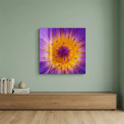 tableau fleur de lotus sur plexiglass Tableau fleur de lotus