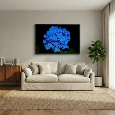tableau hortensias bleues avec cadre flottant Tableau hortensias bleues