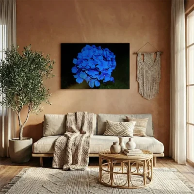 tableau hortensias bleues sur alu Tableau hortensias bleues