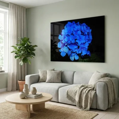 tableau hortensias bleues sur plexiglass Tableau hortensias bleues