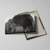 Tableau lion et lionne