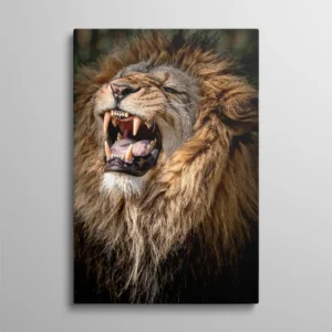 Tableau lion qui rugit portrait gros plan gueule ouverte, photo animalière puissante