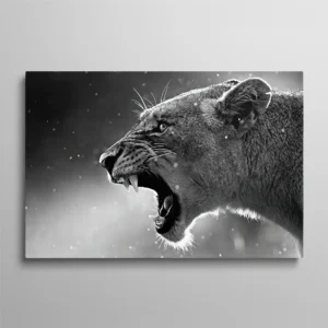 Tableau lionne en colère rugissant noir et blanc profil, photographie animalière intense