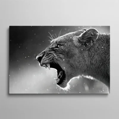 tableau lionne noir et blanc Tableau lionne en colère rugissant noir et blanc profil, photographie animalière intense