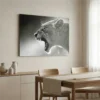 tableau lionne noir et blanc sur alu Tableau lionne noir et blanc