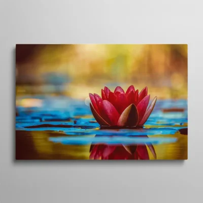 tableau lotus zen Tableau fleur de lotus rose sur l'eau ambiance zen et spa, nature apaisante