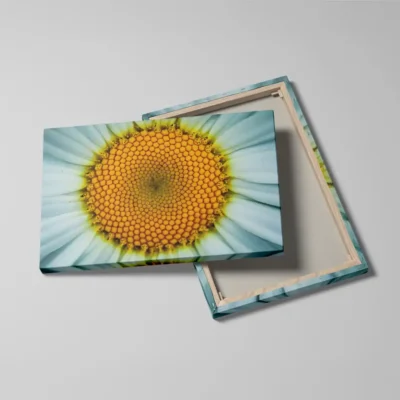 Tableau marguerite