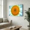 Tableau marguerite