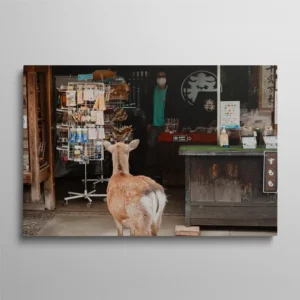 Tableau Nara Japon cerf shika devant une boutique traditionnelle, photographie voyage