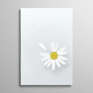 Tableau pétale de marguerite fleur blanche minimaliste sur fond gris clair, photographie nature douce
