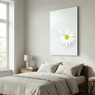 tableau petale de marguerite sur alu Tableau pétale de marguerite