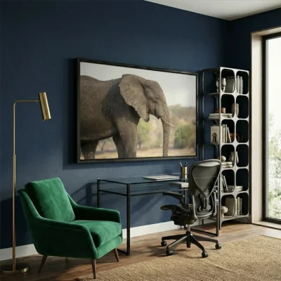 tableau photo elephant avec cadre flottant Tableau photo éléphant
