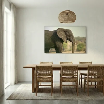 tableau photo elephant sur alu Tableau photo éléphant