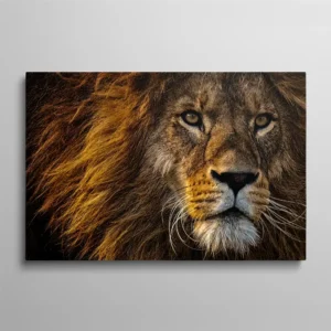 Tableau photo lion portrait majestueux crinière dorée regard intense, roi des animaux savane