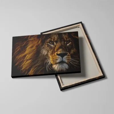 Tableau photo lion