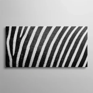 Tableau rayures zèbre texture peau animal noir et blanc gros plan, art abstrait nature