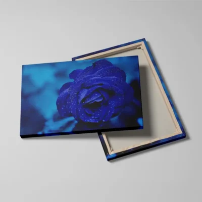 Tableau rose bleue