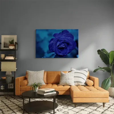 Tableau rose bleue