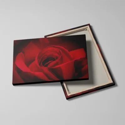 Tableau rose rouge