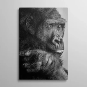 Tableau singe noir et blanc portrait gorille regard intense, photographie animalière noble