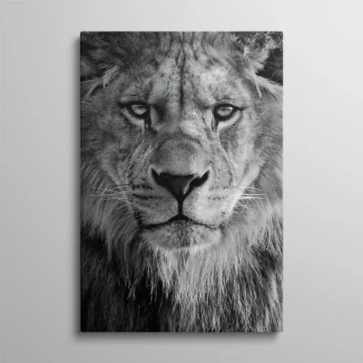tableau tete de lion Tableau tête de lion noir et blanc vue de face regard majestueux, photo animalière noir et blanc