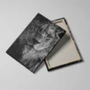 tableau tete de lion detail toile tendue Tableau tête de lion