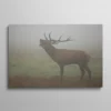Tableau cerf dans la brume, cerf brame la tête levée dans une prairie brumeuse automnale, photographie naturaliste en tons brun roux et gris vert