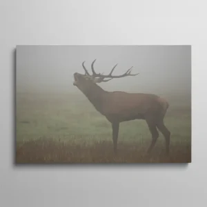 Tableau cerf dans la brume, cerf brame la tête levée dans une prairie brumeuse automnale, photographie naturaliste en tons brun roux et gris vert
