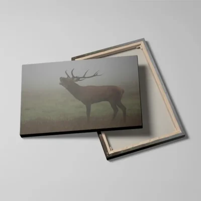 tableau cerf dans la brume detail toile tendue Tableau cerf dans la brume