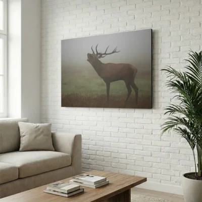 tableau cerf dans la brume sur alu Tableau cerf dans la brume