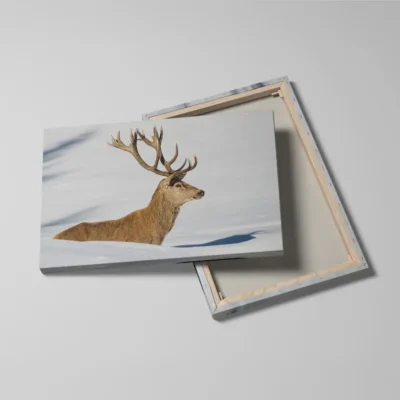 Tableau cerf dans la neige