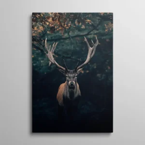 Tableau cerf fond noir, portrait frontal de cerf à grande ramure dans une forêt sombre aux reflets verts et roux, photographie nature dramatique et intimiste