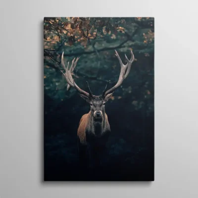 tableau cerf fond noir Tableau cerf fond noir, portrait frontal de cerf à grande ramure dans une forêt sombre aux reflets verts et roux, photographie nature dramatique et intimiste