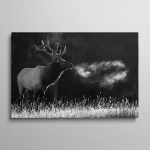 Notre tableau cerf noir et blanc : cerf de profil au souffle visible dans le froid, lumière rasante et fond sombre. Photo intemporelle. Livraison rapide, fixations incluses.