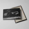 Tableau cerf noir et blanc