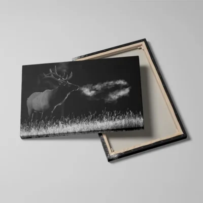 Tableau cerf noir et blanc