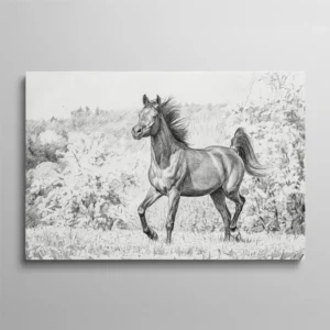 Tableau dessin cheval – cheval au trot dessiné au crayon graphite avec hachures, végétation en arrière-plan, style dessin académique réaliste
