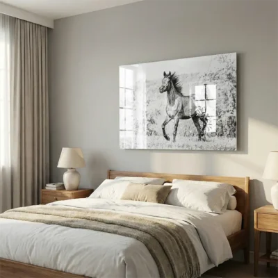 tableau dessin cheval sur plexiglass Tableau dessin cheval
