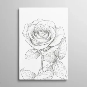Tableau dessin fleur – rose avec tige et feuilles dessinée au crayon graphite avec hachures fines, fond blanc, style illustration botanique