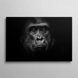 Tableau gorille, portrait photographique frontal de gorille en noir et blanc sur fond noir absolu, regard direct et expressif, éclairage dramatique qui sculpte le visage